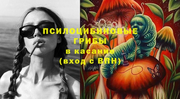 МДПВ Алексин