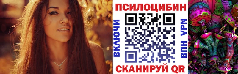 мега как зайти  Енисейск  Галлюциногенные грибы Psilocybine cubensis  купить закладку 